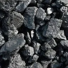 Carbonaceous Shale