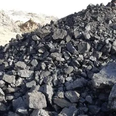 Carbonaceous Shale