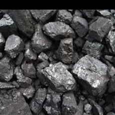 Carbonaceous Shale