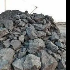 Carbonaceous Shale